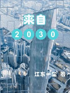 来自2030的未来人