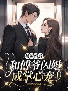 闪婚天价老公免费阅读全文